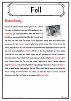 Vorschau - Unterrichtsreihen - Fell Lückentext mit Wortspeicher Hörverstehen und Suchsel - Seite 2