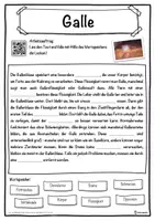 Vorschau - Unterrichtsreihen - Galle Lückentext mit Wortspeicher Hörverstehen und Suchsel - Seite 1