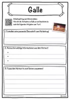 Vorschau - Unterrichtsreihen - Galle Lückentext mit Wortspeicher Hörverstehen und Suchsel - Seite 3