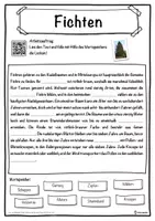 Vorschau - Unterrichtsreihen - Fichten Lückentext mit Wortspeicher Hörverstehen und Suchsel - Seite 1
