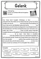 Vorschau - Unterrichtsreihen - Gelenk Lückentext mit Wortspeicher Hörverstehen und Suchsel - Seite 1