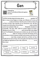 Vorschau - Unterrichtsreihen - Gen Lückentext mit Wortspeicher Hörverstehen und Suchsel - Seite 1