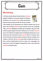 Vorschau - Unterrichtsreihen - Gen Lückentext mit Wortspeicher Hörverstehen und Suchsel - Seite 2