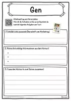 Vorschau - Unterrichtsreihen - Gen Lückentext mit Wortspeicher Hörverstehen und Suchsel - Seite 3