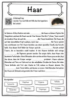 Vorschau - Unterrichtsreihen - Haar Lückentext mit Wortspeicher Hörverstehen und Suchsel - Seite 1