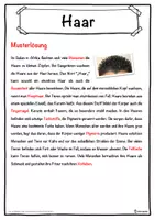 Vorschau - Unterrichtsreihen - Haar Lückentext mit Wortspeicher Hörverstehen und Suchsel - Seite 2