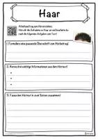 Vorschau - Unterrichtsreihen - Haar Lückentext mit Wortspeicher Hörverstehen und Suchsel - Seite 3