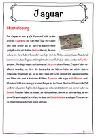 Vorschau - Unterrichtsreihen - Jaguar Lückentext mit Wortspeicher Hörverstehen und Suchsel - Seite 2