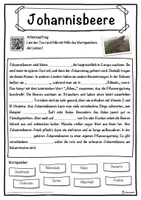 Vorschau - Unterrichtsreihen - Johannisbeere Lückentext mit Wortspeicher Hörverstehen und Suchsel - Seite 1