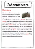 Vorschau - Unterrichtsreihen - Johannisbeere Lückentext mit Wortspeicher Hörverstehen und Suchsel - Seite 2