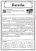 Vorschau - Unterrichtsreihen - Barsche Lückentext mit Wortspeicher Hörverstehen und Suchsel - Seite 1