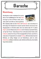 Vorschau - Unterrichtsreihen - Barsche Lückentext mit Wortspeicher Hörverstehen und Suchsel - Seite 2