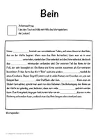 Vorschau - Unterrichtsreihen - Bein Lückentext mit Wortspeicher Hörverstehen und Suchsel - Seite 1