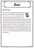 Vorschau - Unterrichtsreihen - Bein Lückentext mit Wortspeicher Hörverstehen und Suchsel - Seite 2