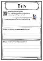 Vorschau - Unterrichtsreihen - Bein Lückentext mit Wortspeicher Hörverstehen und Suchsel - Seite 3