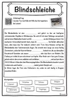 Vorschau - Unterrichtsreihen - Blindschleiche Lückentext mit Wortspeicher Hörverstehen und Suchsel - Seite 1