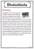 Vorschau - Unterrichtsreihen - Blindschleiche Lückentext mit Wortspeicher Hörverstehen und Suchsel - Seite 2