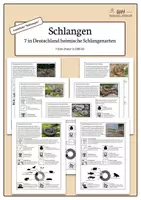 Vorschau - Stationenlernen - Lerntheke Schlangen - Heimische Schlangen (Informations-Poster) - Deckblatt
