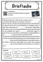 Vorschau - Unterrichtsreihen - Brieftaube Lückentext mit Wortspeicher Hörverstehen und Suchsel - Seite 1