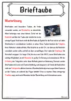 Vorschau - Unterrichtsreihen - Brieftaube Lückentext mit Wortspeicher Hörverstehen und Suchsel - Seite 2