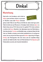Vorschau - Unterrichtsreihen - Dinkel Lückentext mit Wortspeicher Hörverstehen und Suchsel - Seite 2