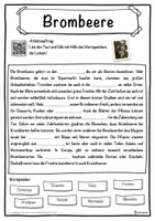 Vorschau - Unterrichtsreihen - Brombeere Lückentext mit Wortspeicher Hörverstehen und Suchsel - Seite 1