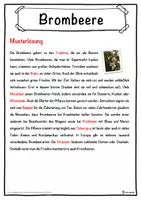Vorschau - Unterrichtsreihen - Brombeere Lückentext mit Wortspeicher Hörverstehen und Suchsel - Seite 2