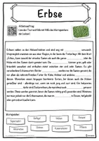 Vorschau - Unterrichtsreihen - Erbse Lückentext mit Wortspeicher Hörverstehen und Suchsel - Seite 1