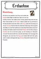 Vorschau - Unterrichtsreihen - Erdachse Lückentext mit Wortspeicher Hörverstehen und Suchsel - Seite 2