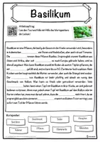 Vorschau - Unterrichtsreihen - Basilikum Lückentext mit Wortspeicher Hörverstehen und Suchsel - Seite 1