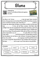 Vorschau - Unterrichtsreihen - Blume Lückentext mit Wortspeicher Hörverstehen und Suchsel - Seite 1