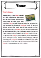 Vorschau - Unterrichtsreihen - Blume Lückentext mit Wortspeicher Hörverstehen und Suchsel - Seite 2