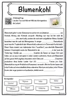 Vorschau - Unterrichtsreihen - Blumenkohl Lückentext mit Wortspeicher Hörverstehen und Suchsel - Seite 1