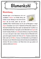 Vorschau - Unterrichtsreihen - Blumenkohl Lückentext mit Wortspeicher Hörverstehen und Suchsel - Seite 2