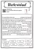 Vorschau - Unterrichtsreihen - Blutkreislauf Lückentext mit Wortspeicher Hörverstehen und Suchsel - Seite 1