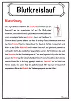 Vorschau - Unterrichtsreihen - Blutkreislauf Lückentext mit Wortspeicher Hörverstehen und Suchsel - Seite 2