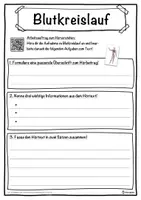 Vorschau - Unterrichtsreihen - Blutkreislauf Lückentext mit Wortspeicher Hörverstehen und Suchsel - Seite 3
