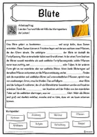 Vorschau - Unterrichtsreihen - Blüte Lückentext mit Wortspeicher Hörverstehen und Suchsel - Seite 1