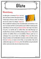 Vorschau - Unterrichtsreihen - Blüte Lückentext mit Wortspeicher Hörverstehen und Suchsel - Seite 2