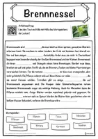 Vorschau - Unterrichtsreihen - Brennnessel Lückentext mit Wortspeicher Hörverstehen und Suchsel - Seite 1