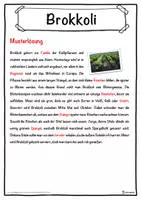 Vorschau - Unterrichtsreihen - Brokkoli Lückentext mit Wortspeicher Hörverstehen und Suchsel - Seite 2