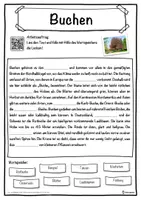 Vorschau - Unterrichtsreihen - Buchen Lückentext mit Wortspeicher Hörverstehen und Suchsel - Seite 1
