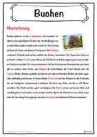 Vorschau - Unterrichtsreihen - Buchen Lückentext mit Wortspeicher Hörverstehen und Suchsel - Seite 2