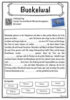 Vorschau - Unterrichtsreihen - Buckelwal Lückentext mit Wortspeicher Hörverstehen und Suchsel - Seite 1