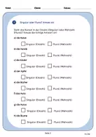 Vorschau - Arbeitsblätter - Deutsch DAZ/DAF Grammatik Singular und Plural - Seite 2