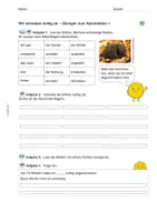 Vorschau - Arbeitsblätter - Arbeitsblätter: Abschreibübungen zum Thema „Igel“ - Seite 1