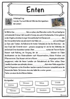 Vorschau - Unterrichtsreihen - Enten Lückentext mit Wortspeicher Hörverstehen und Suchsel - Seite 1