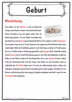Vorschau - Unterrichtsreihen - Geburt Lückentext mit Wortspeicher Hörverstehen und Suchsel - Seite 2