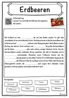 Vorschau - Unterrichtsreihen - Erdbeeren Lückentext mit Wortspeicher Hörverstehen und Suchsel - Seite 1
