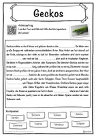 Vorschau - Unterrichtsreihen - Geckos Lückentext mit Wortspeicher Hörverstehen und Suchsel - Seite 1